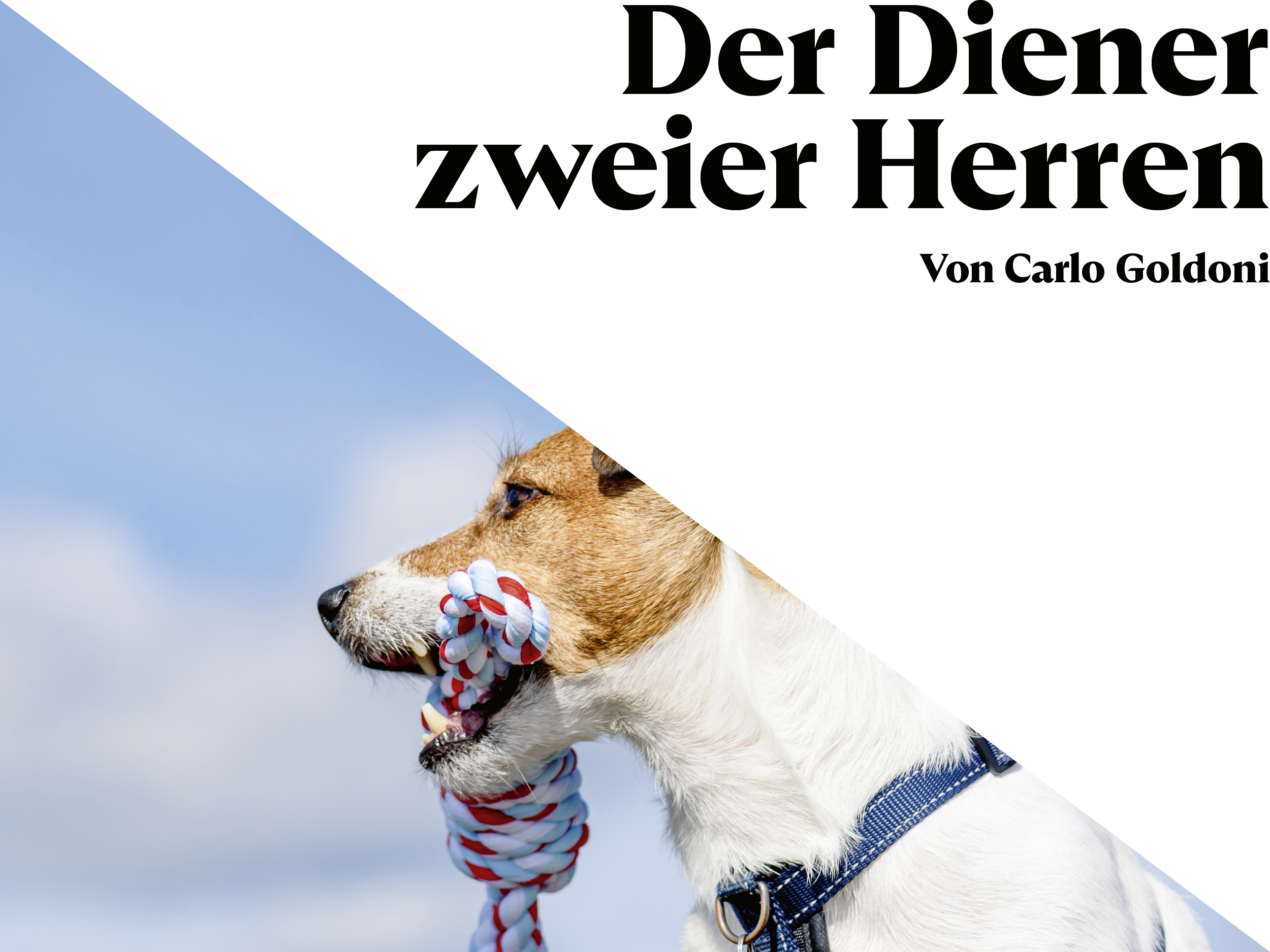 Bild zum Theater "Der Diener zweier Herren"